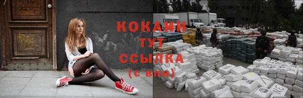 стафф Саяногорск