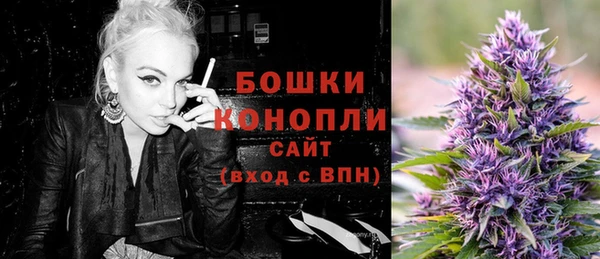 шишки Гатчина