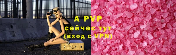 стаф Абаза