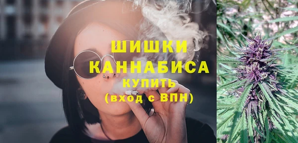 шишки Гатчина