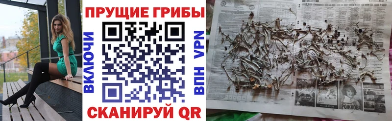 omg вход  магазин    Кедровый  Псилоцибиновые грибы MAGIC MUSHROOMS 